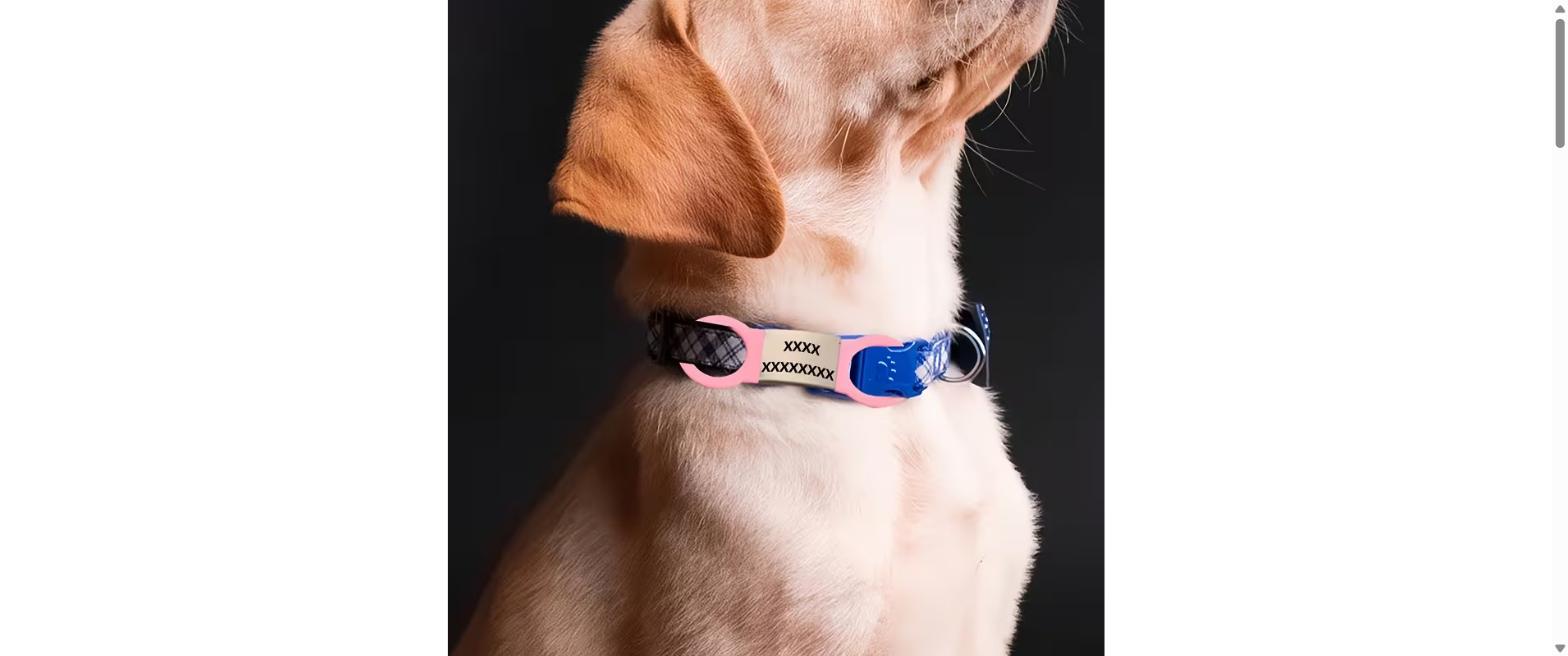 Placas personalizadas para mascotas