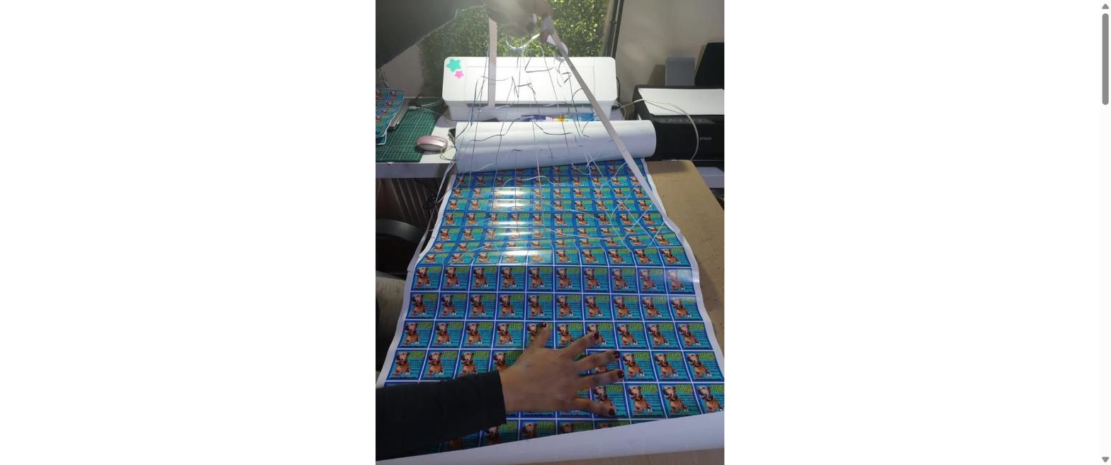 Stickers autoadhesivos troquelados