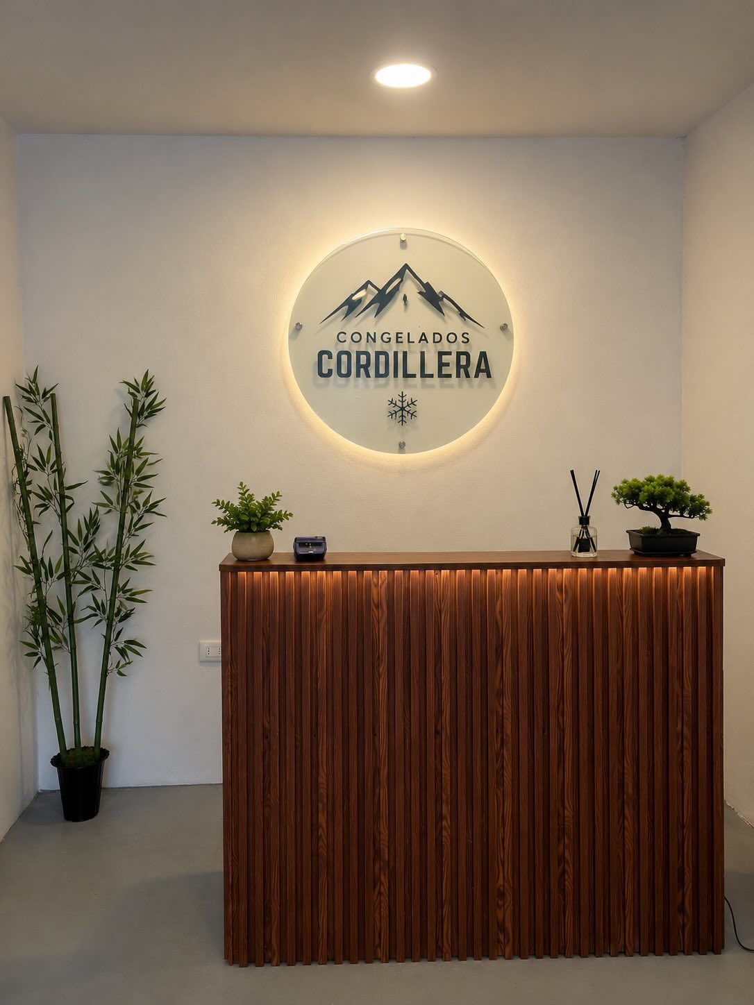 Logo corporativo en acrílico sobre muro de recepción